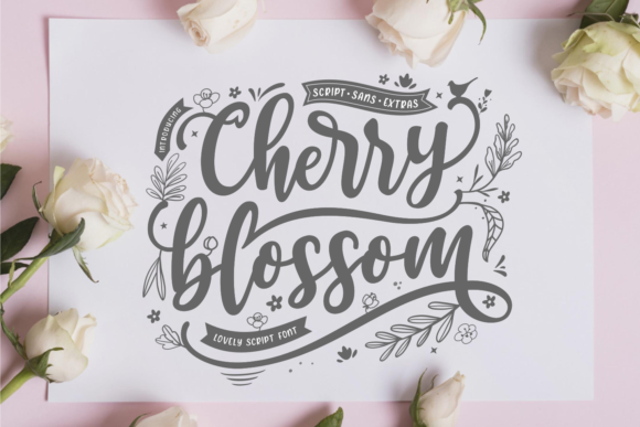 Cherry Blossom Font: A Trio of Elegant Typefaces