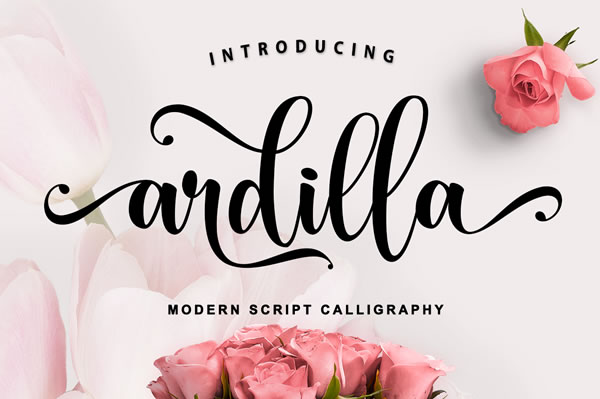 Discover the Elegance of Ardilla: A Classic Handwritten Script Font